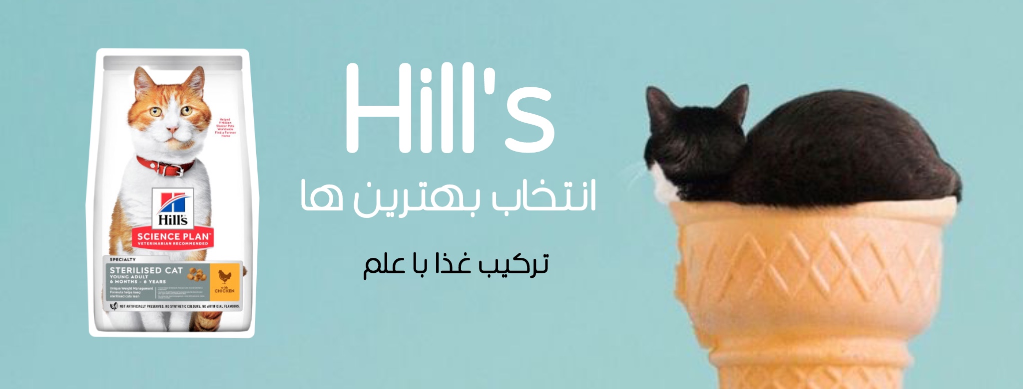 غذا خشک هیلز