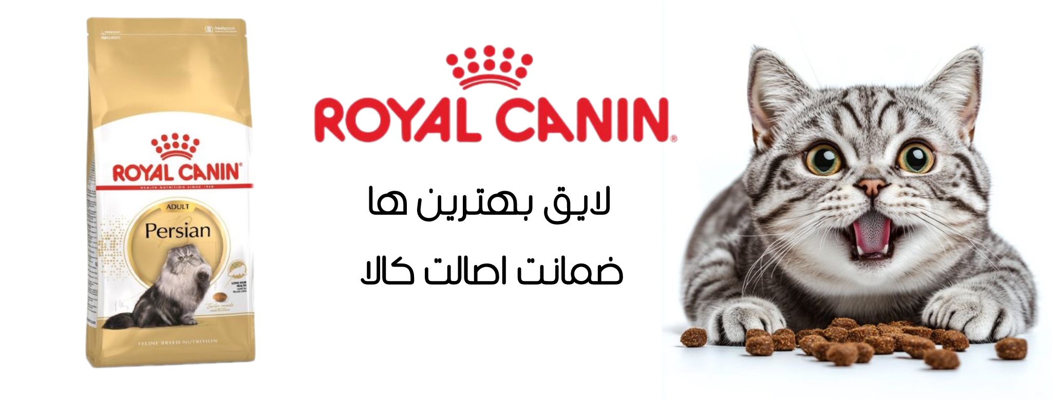 رویال کنین پرشین