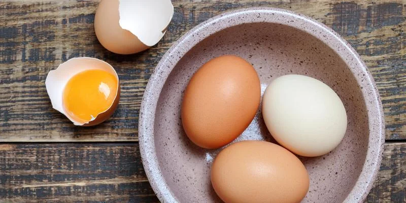 آیا خوردن تخم مرغ برای گربه ها خوب است؟
